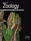 Measey, G.J., A.D. Rebelo, A. Herrel, B. Vanhooydonck and K.A. Tolley (2011) Diet, morphology and performance in two chameleon morphs: do harder bites equate with harder prey? J. Zool. 285: 247-255.